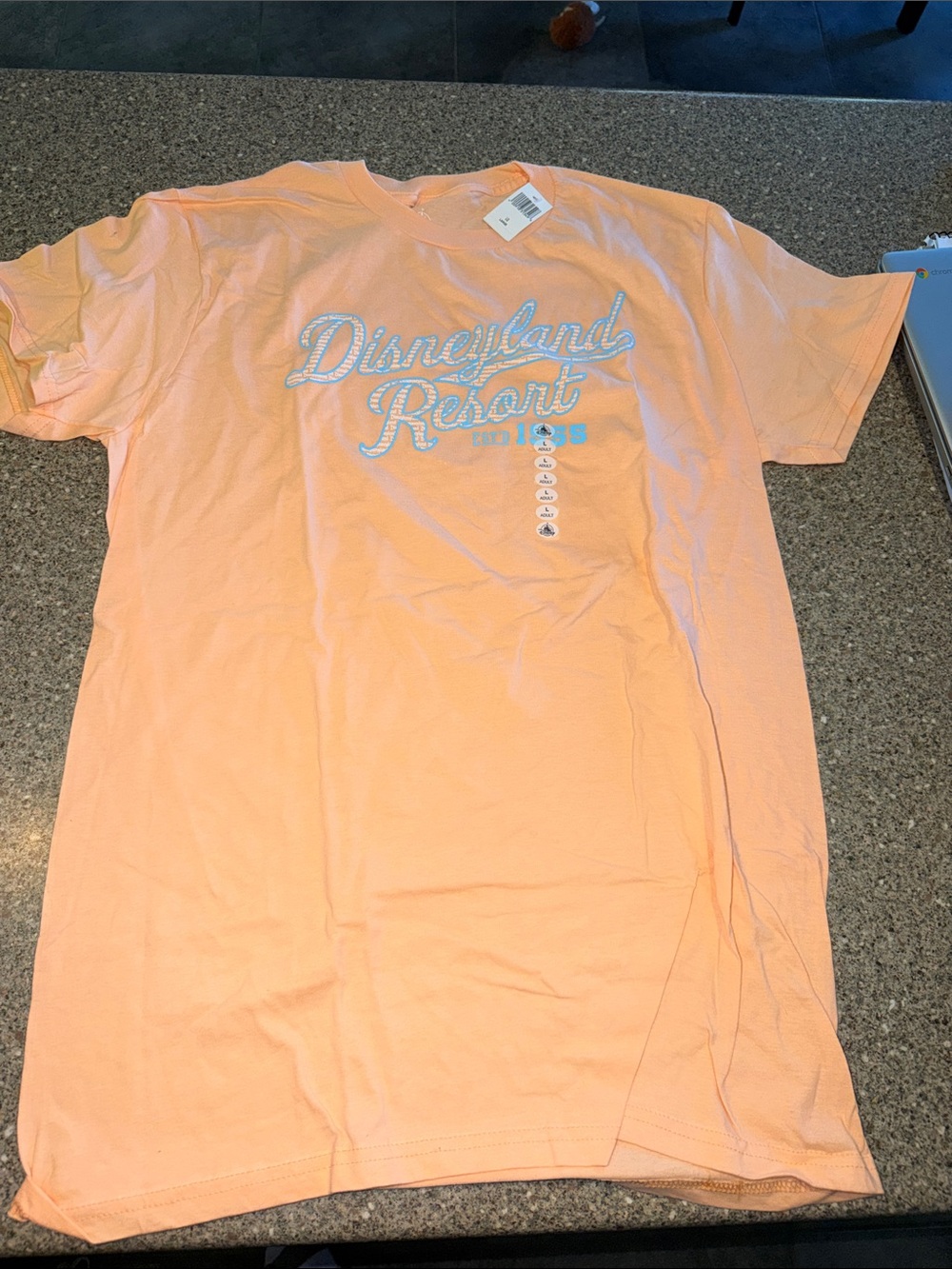 Disneyland resort shirt - brand new